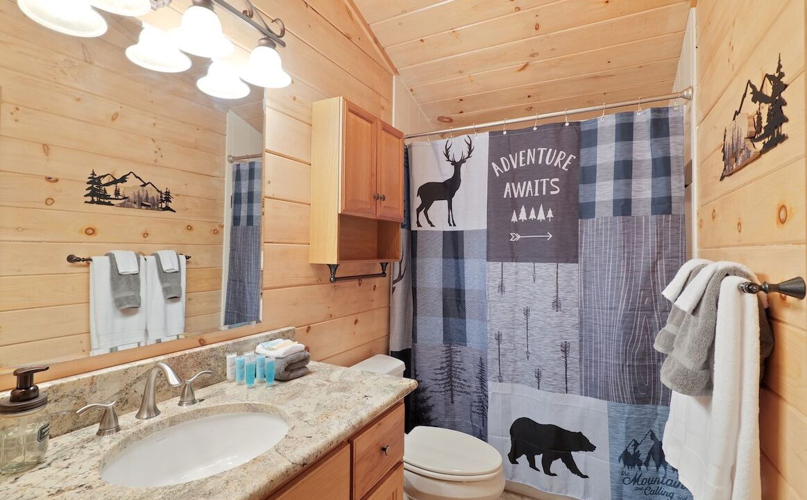 Photo of Bathroom in Cherry Log