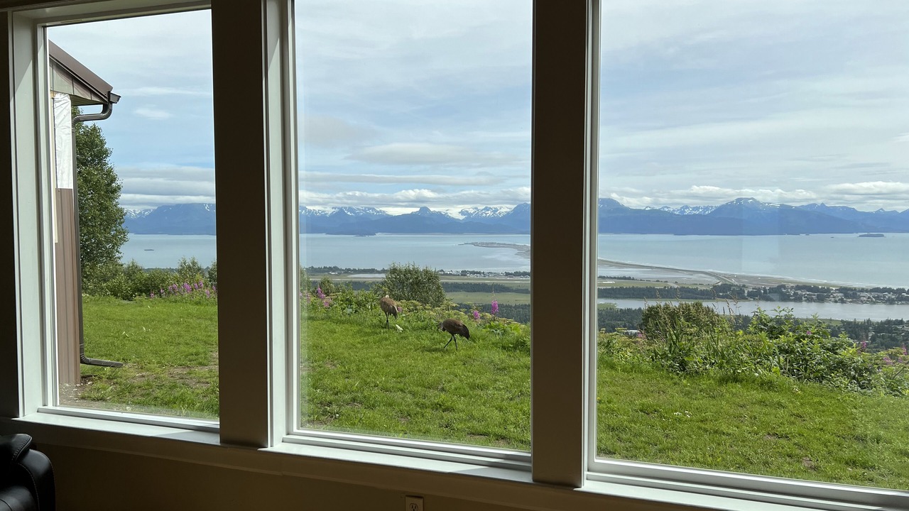 Photo of Others in Homer