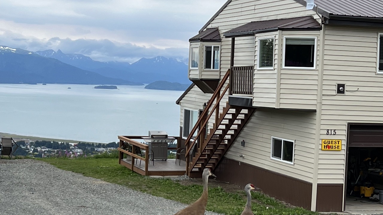 Photo of Outdoor in Homer