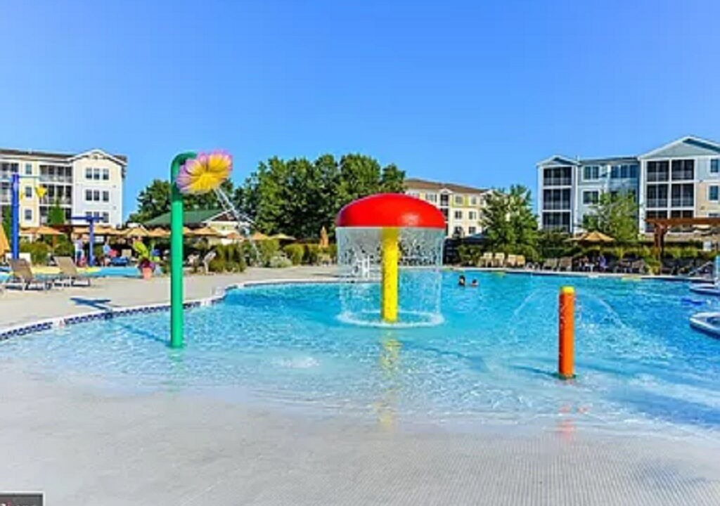 Photo of Outdoor in Bayside