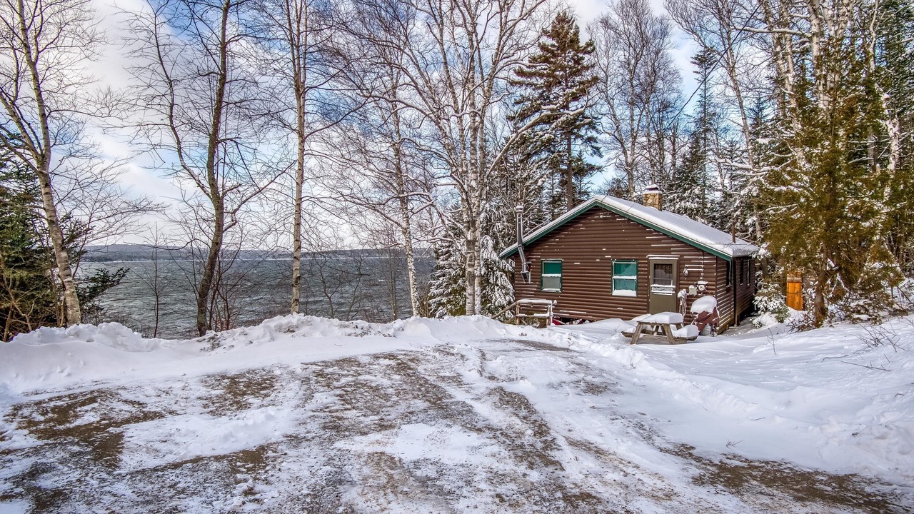 Photo of Others in Rangeley Plantation