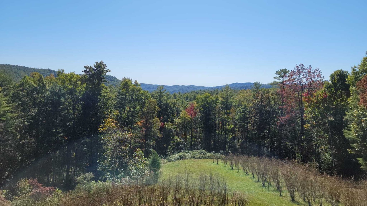 Photo of Outdoor in Clayton