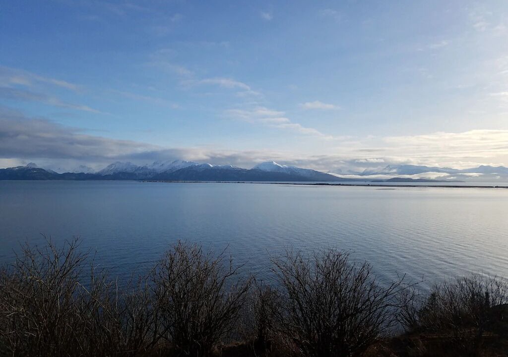 Photo of Others in Homer