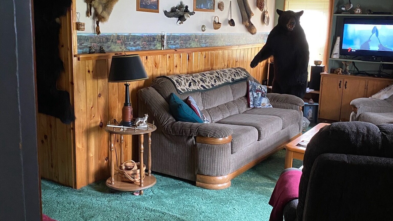 Photo of Livingroom in Eagle Lake