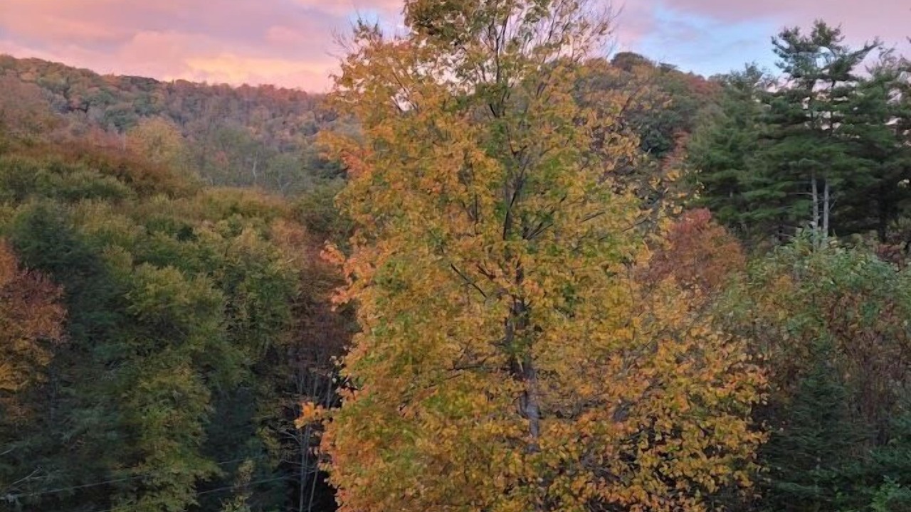 Photo of Outdoor in Blowing Rock