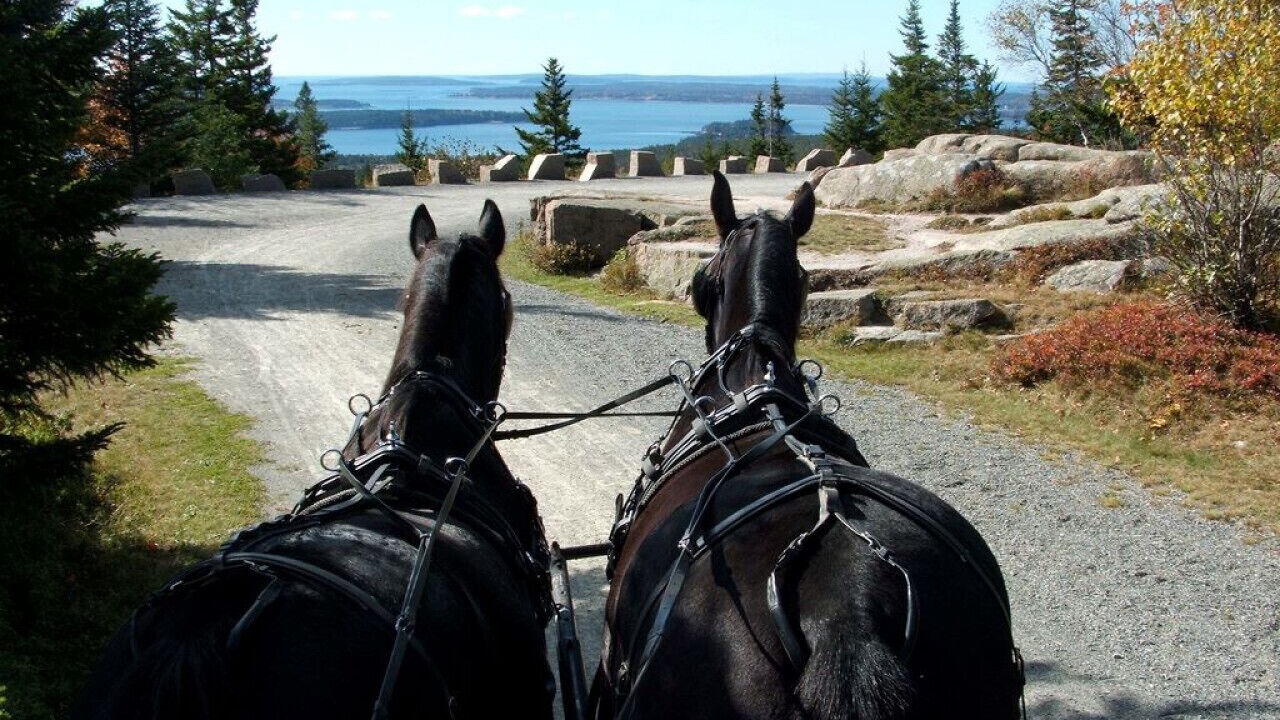 Photo of Others in Mount Desert