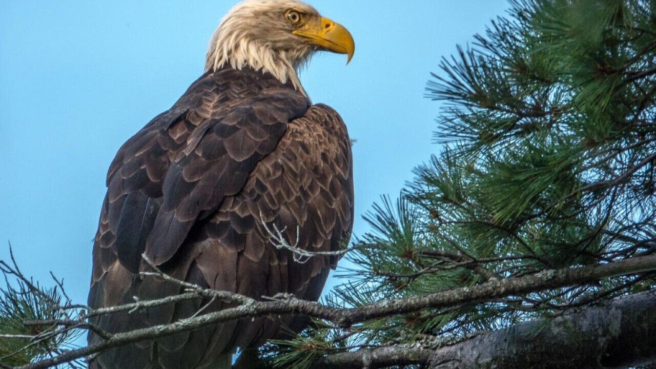 Photo of Others in Mount Desert