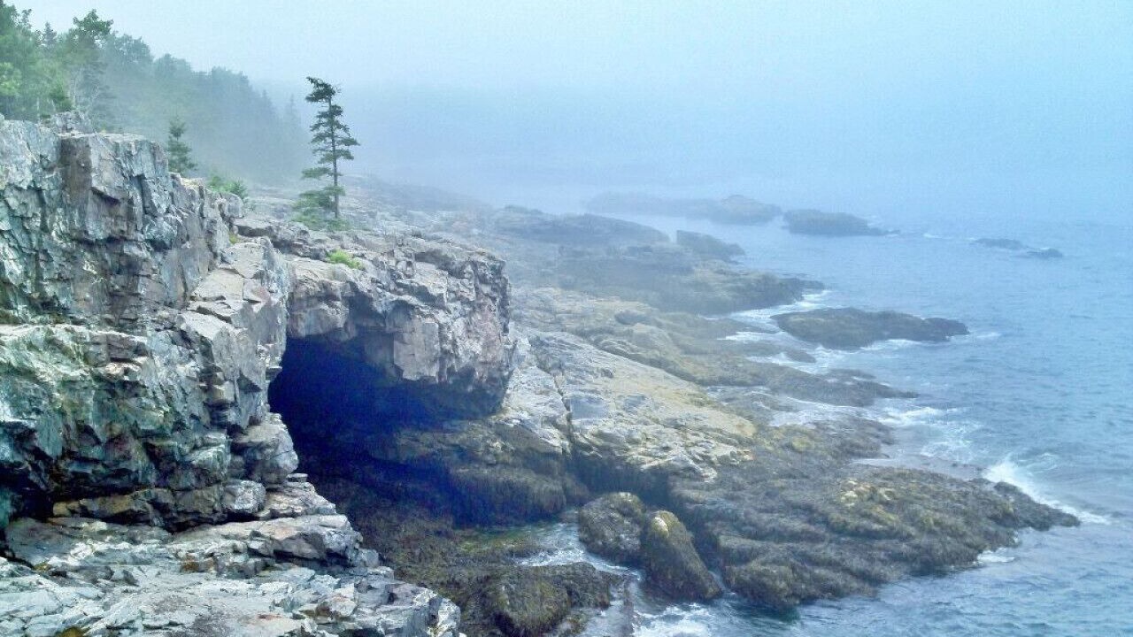 Photo of Others in Mount Desert