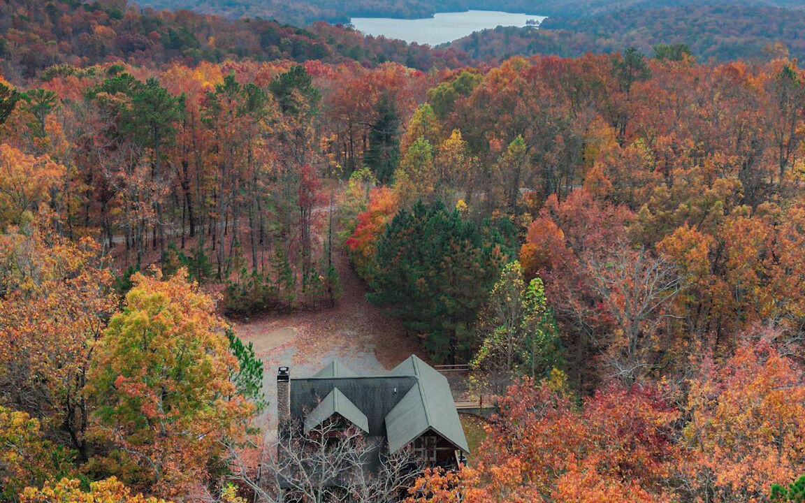 Photo of Outdoor in Ellijay