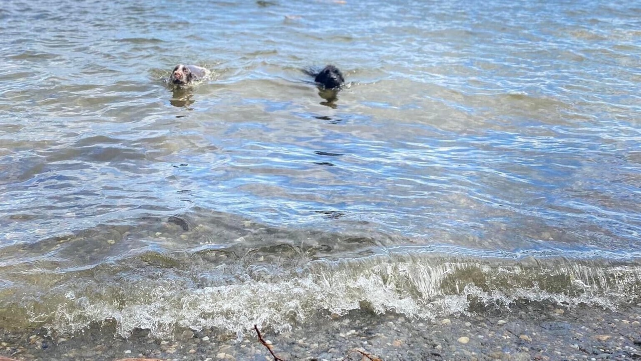 Photo of Others in Beaver Cove