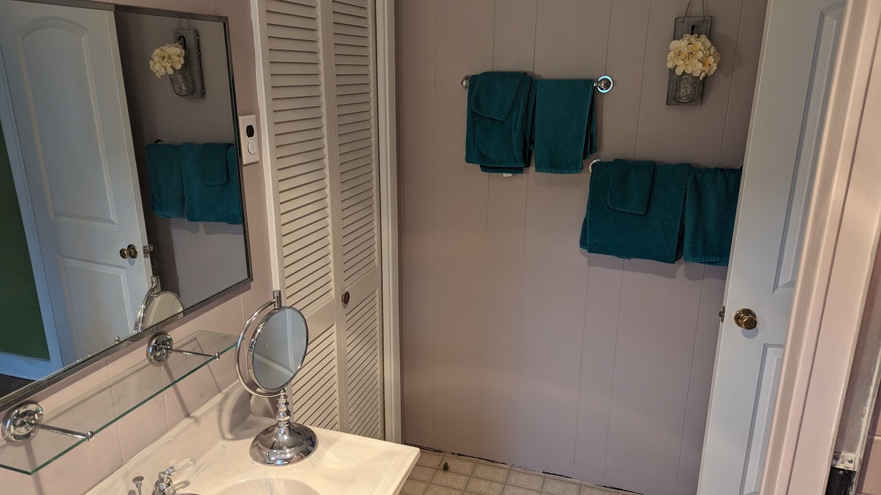 Photo of Bathroom in Alfred Station