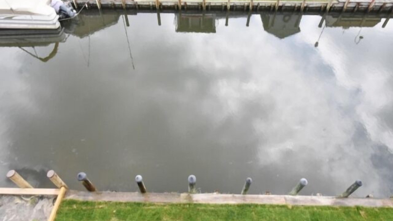 Photo of Outdoor in Selbyville