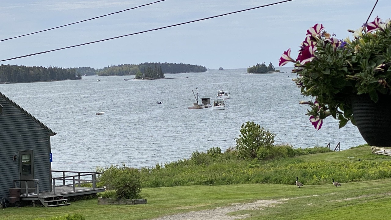 Photo of Outdoor in Medomak