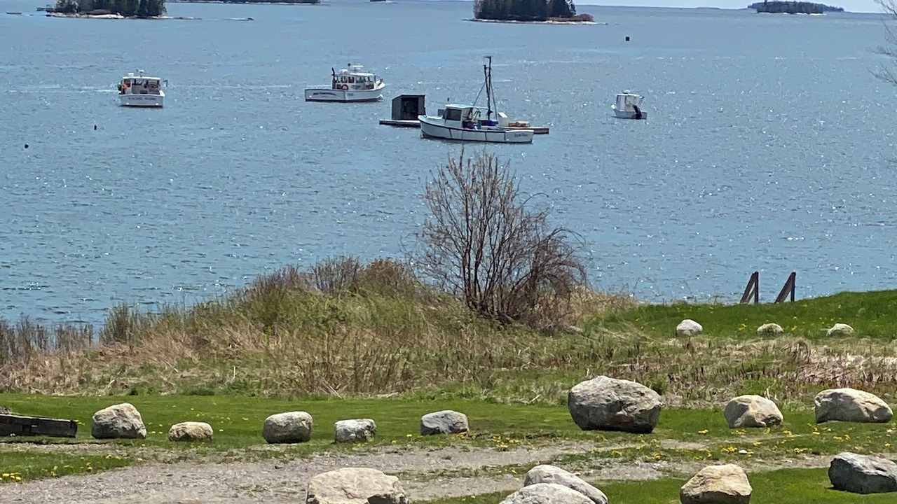 Photo of Outdoor in Medomak