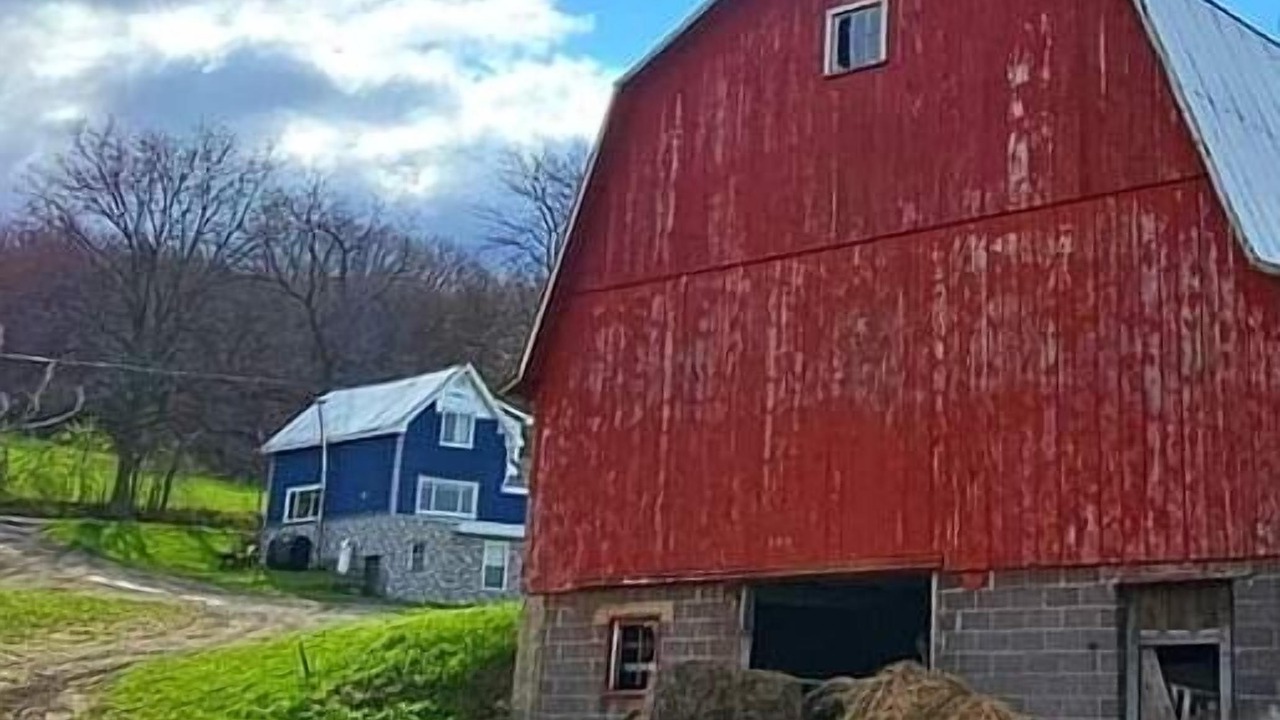 Photo of Outdoor in Montour Falls