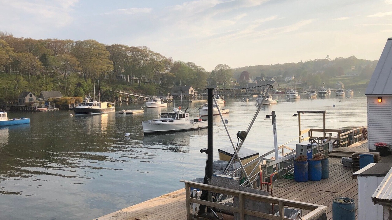 Photo of Others in New Harbor