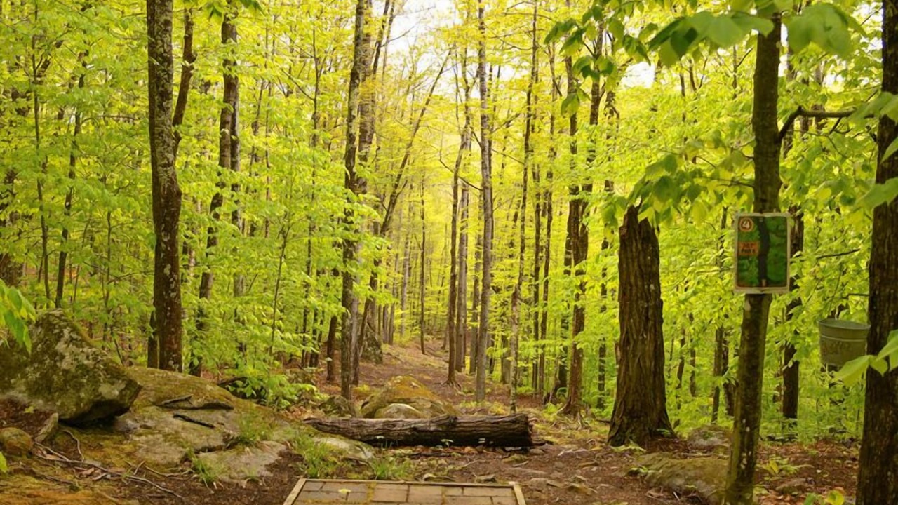 Photo of Others in Stoneham