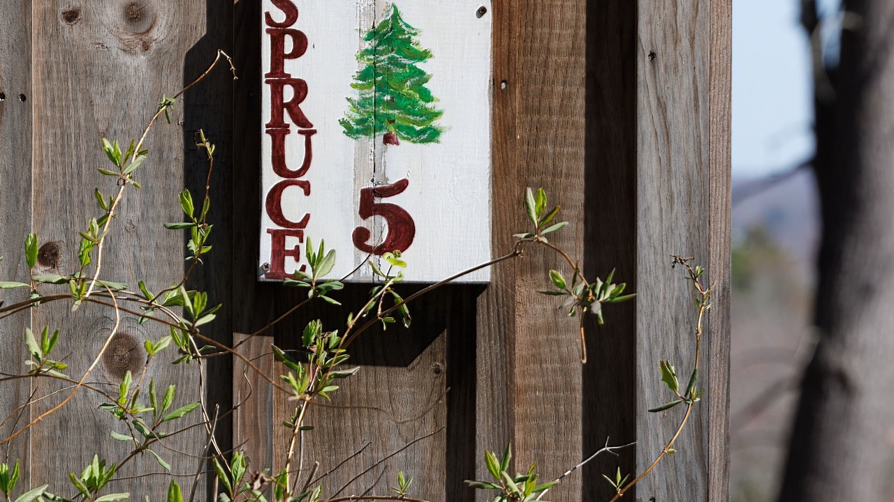 Photo of Outdoor in Sandy Point