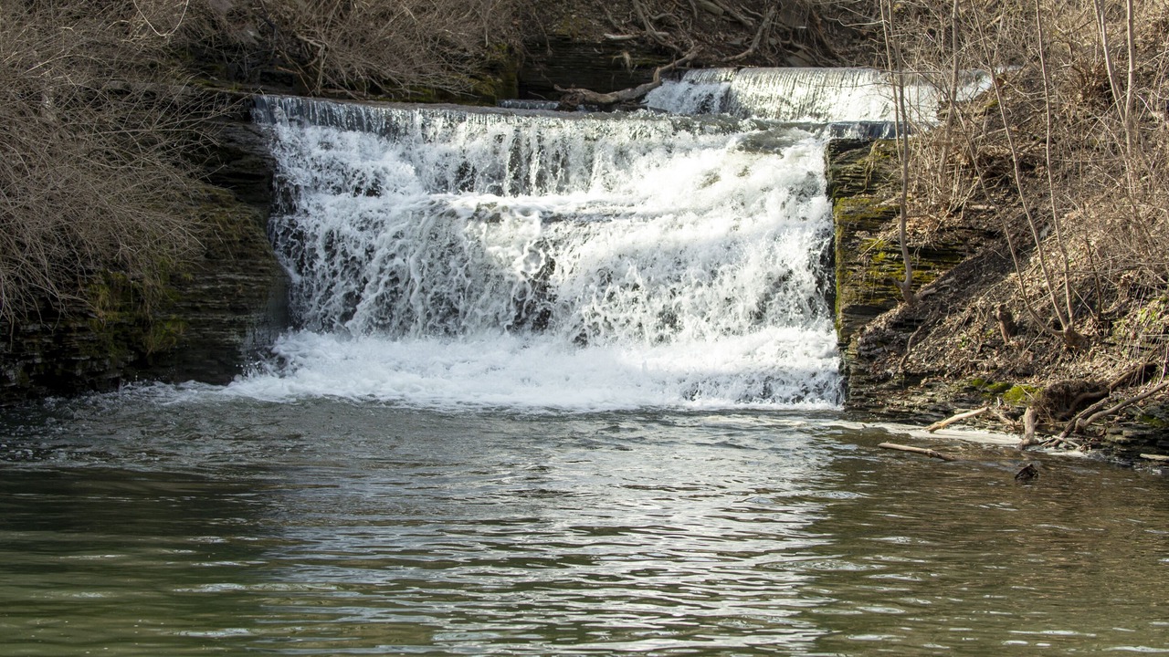 Photo of Others in Burdett