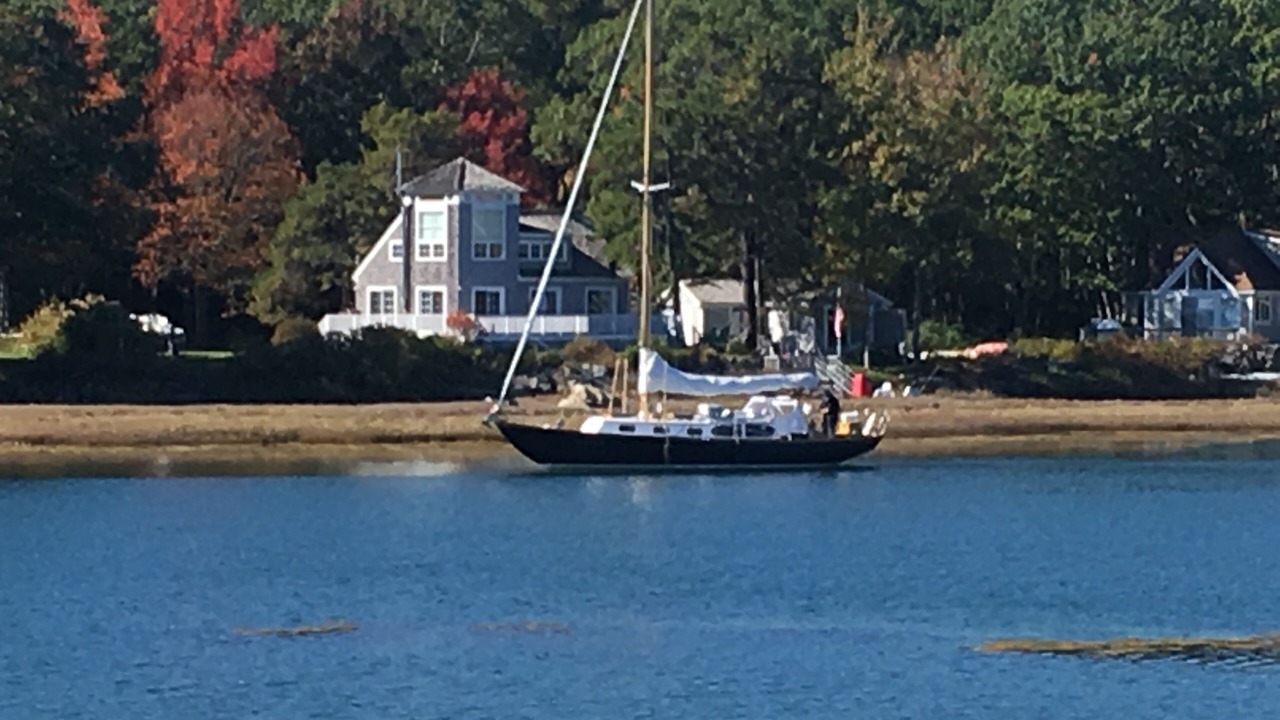 Photo of Others in Cape Porpoise