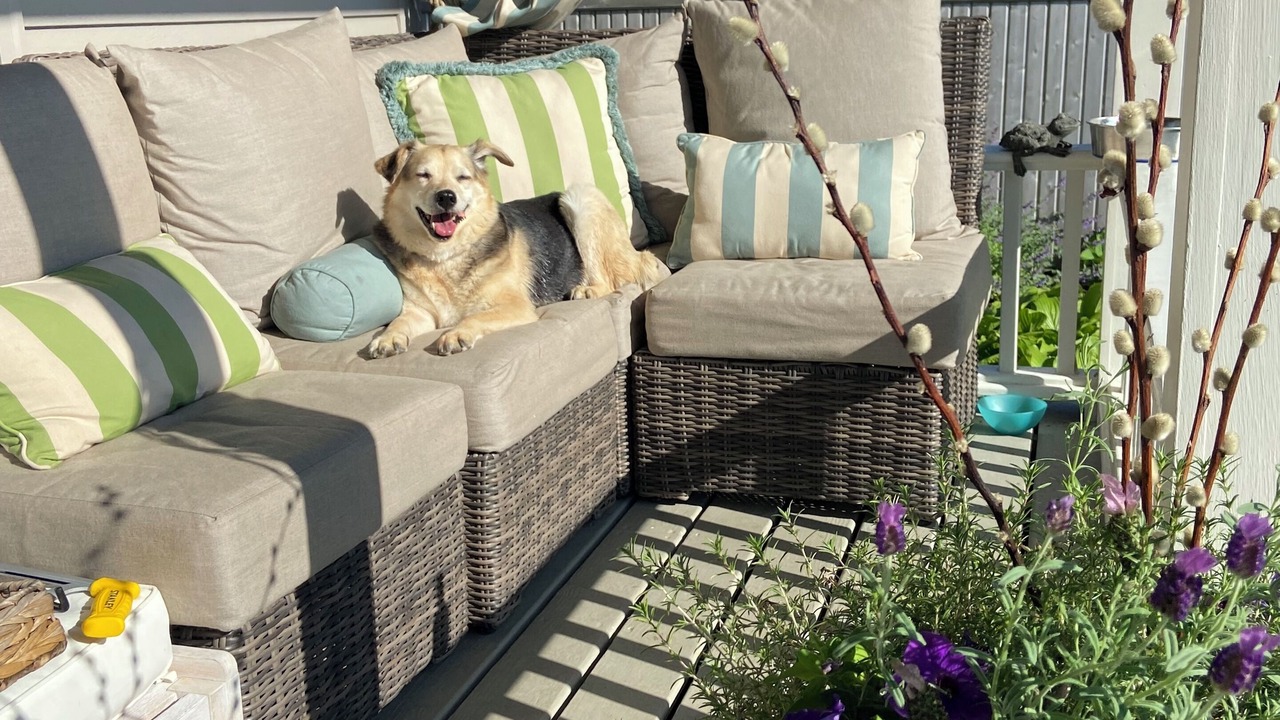 Photo of Patio Balcony in Cape Porpoise
