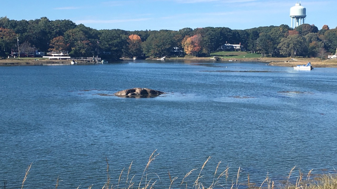 Photo of Others in Cape Porpoise