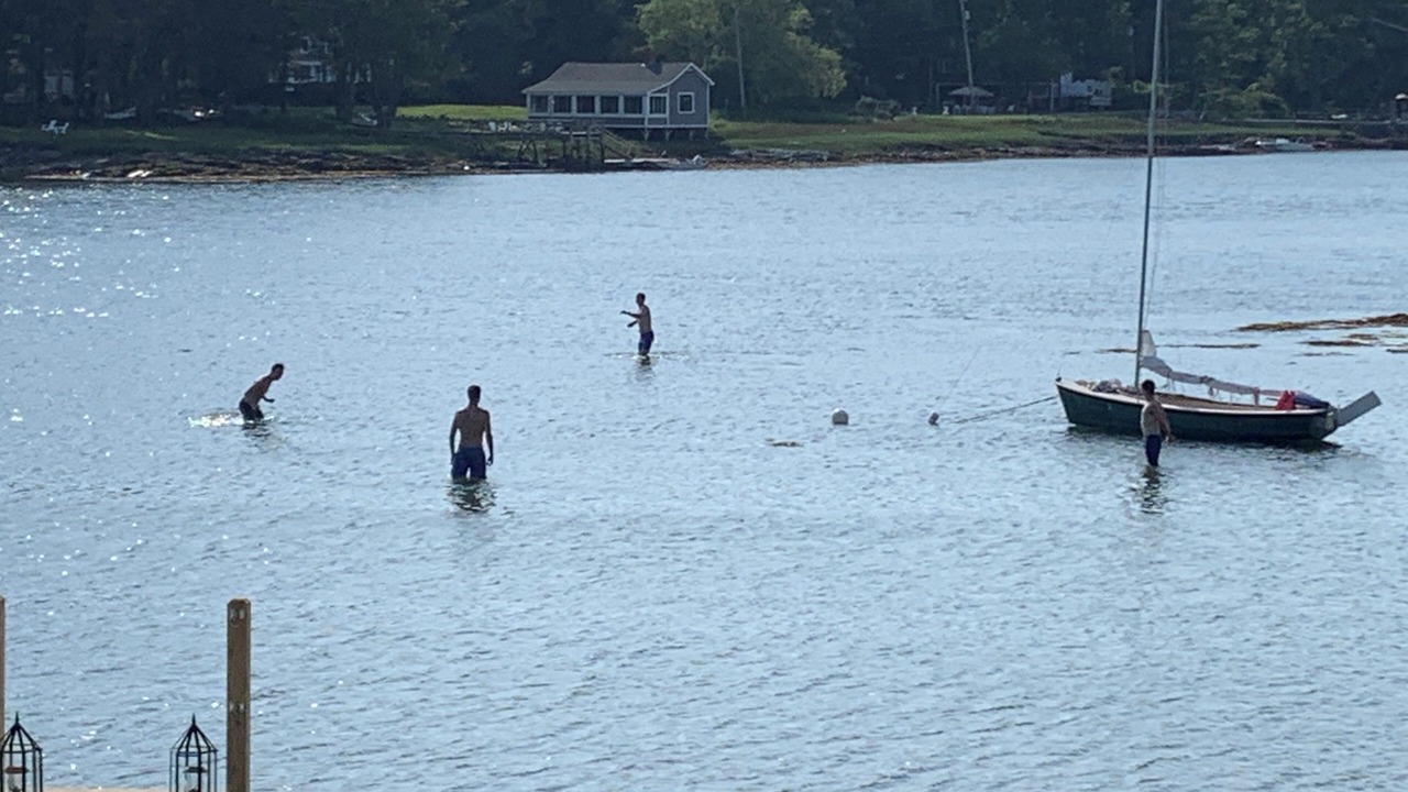 Photo of Others in Cape Porpoise