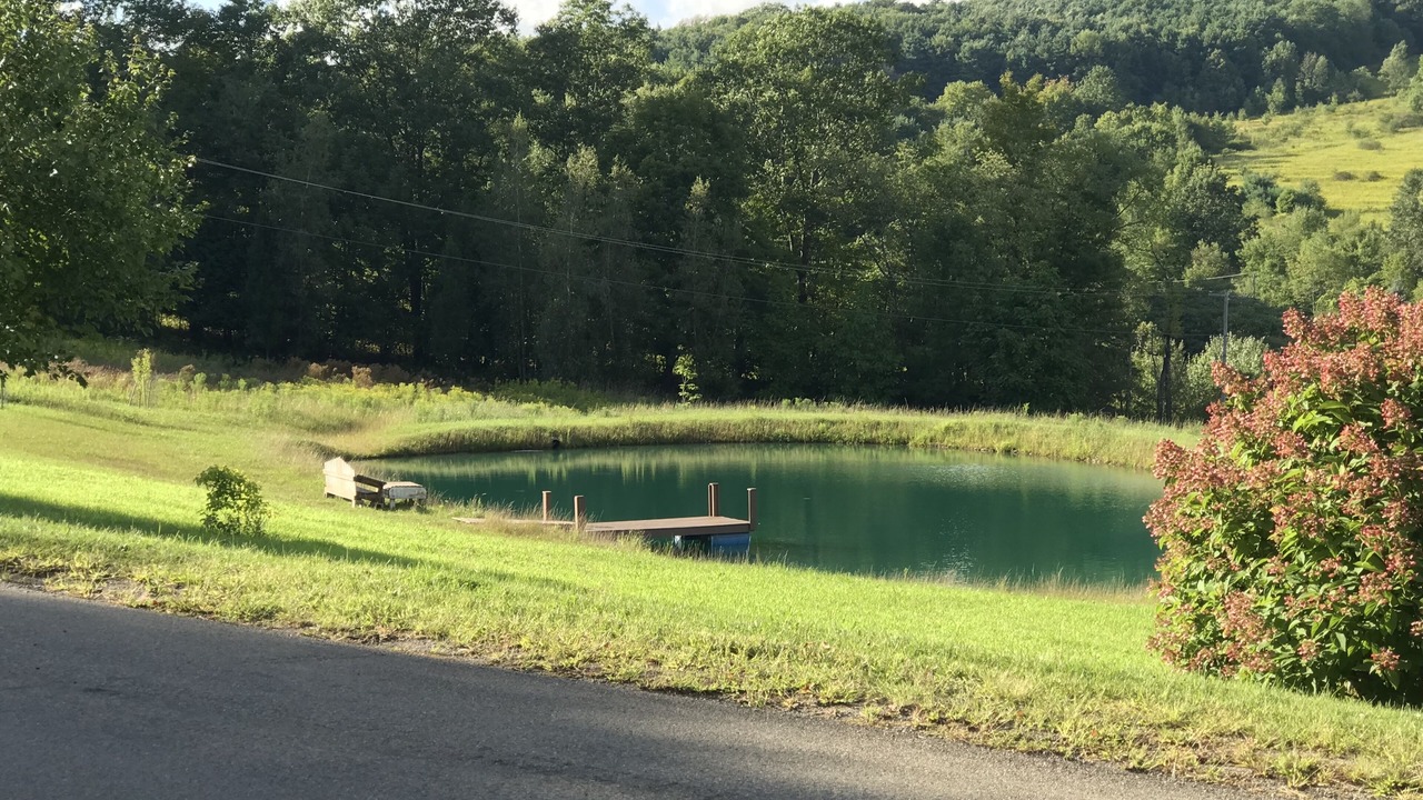 Photo of Others in Black Creek