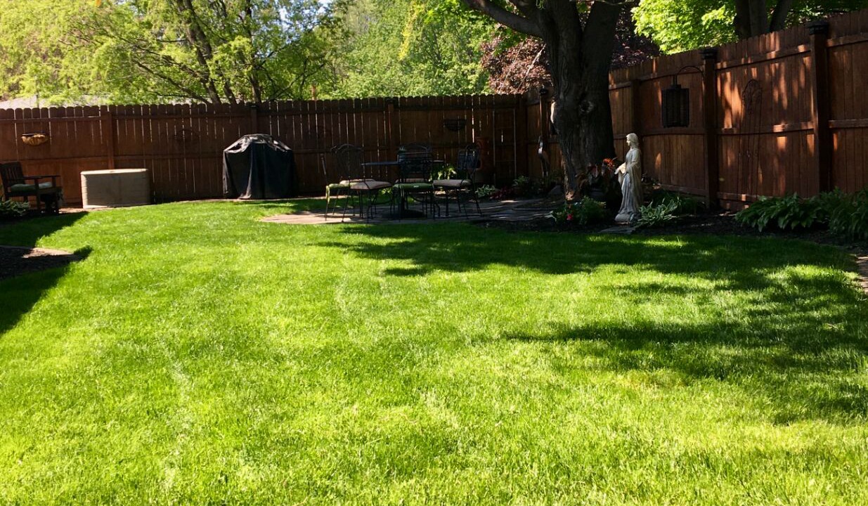 Photo of Outdoor in Ionia