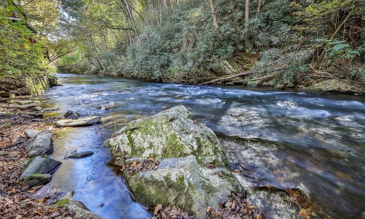 Photo of Others in Ellijay
