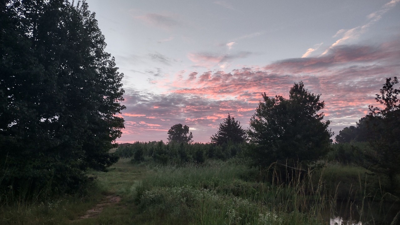 Photo of Outdoor in Cason
