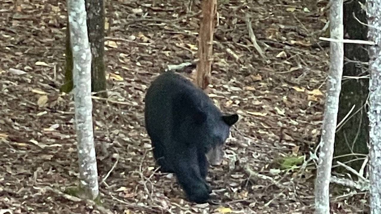 Photo of Others in Raccoon Ridge