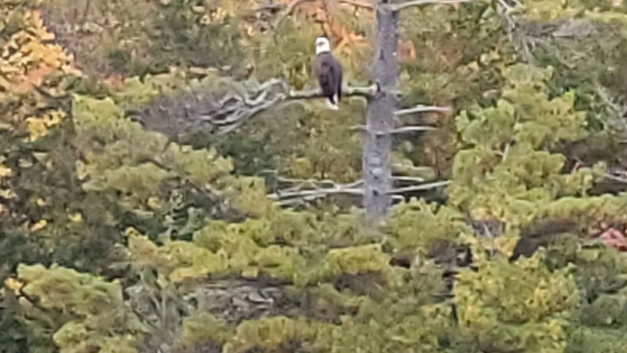 Photo of Outdoor in Hartland
