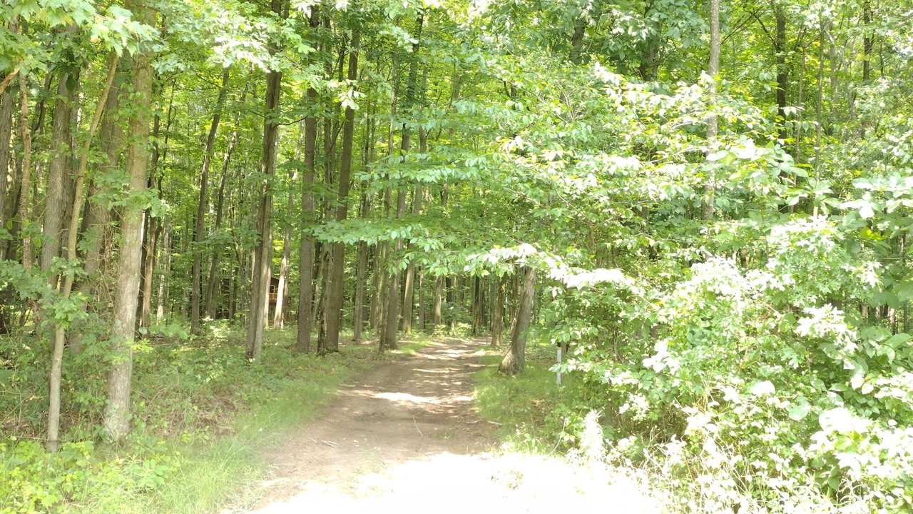 Photo of Others in Kinsman