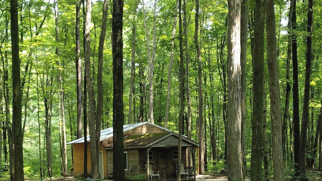Photo of Outdoor in Kinsman