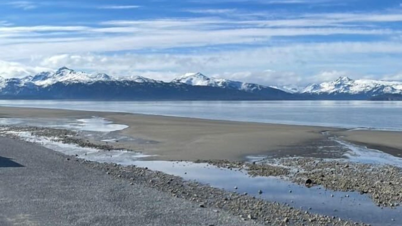 Photo of Others in Homer