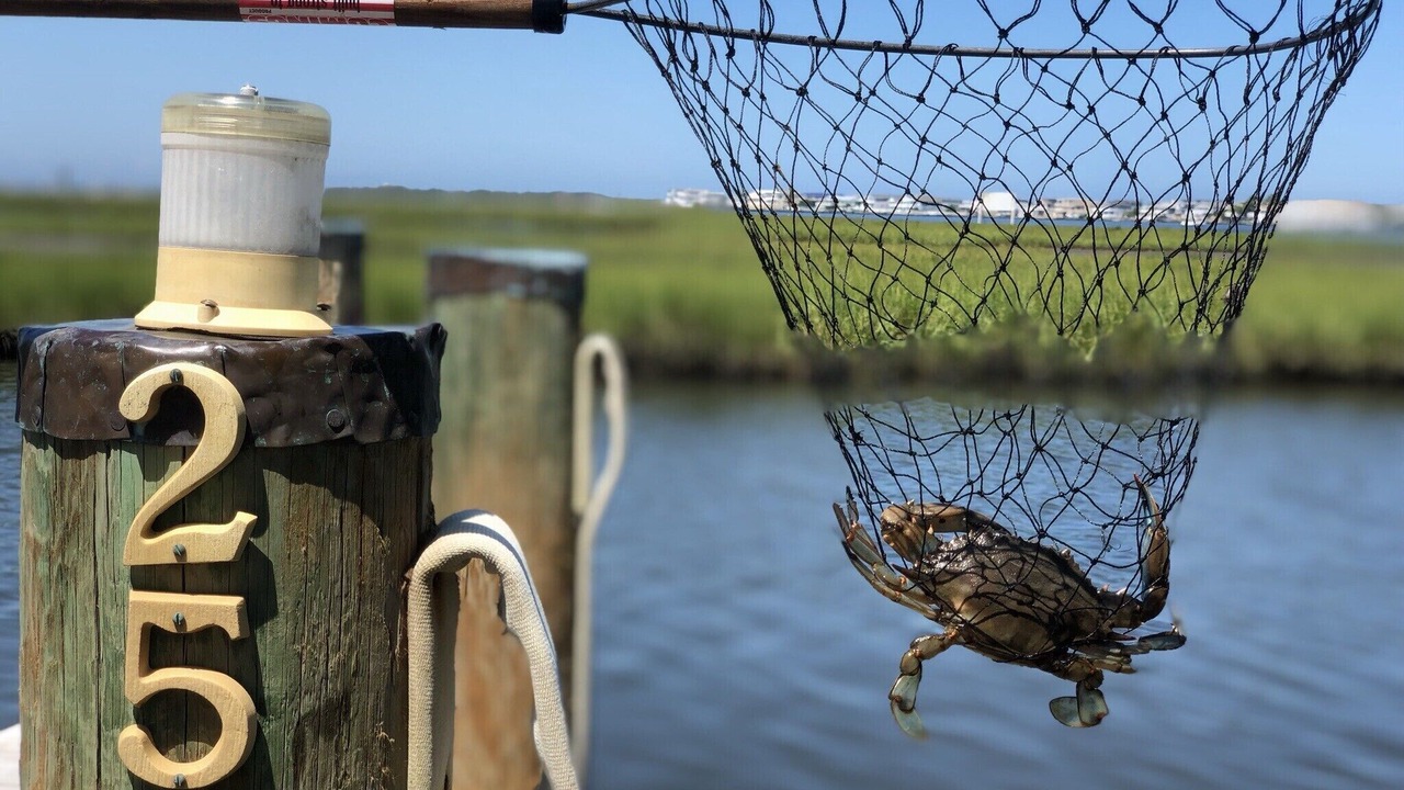 Photo of Outdoor in Fenwick Landing