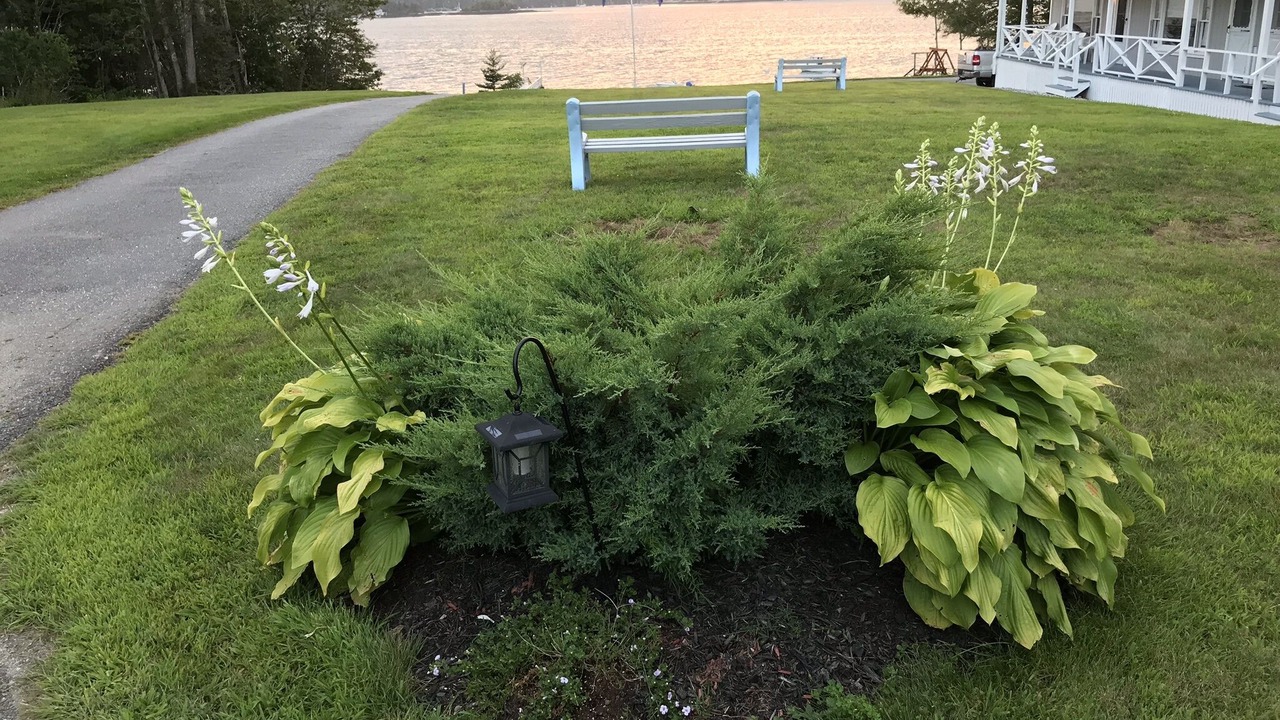 Photo of Others in East Boothbay