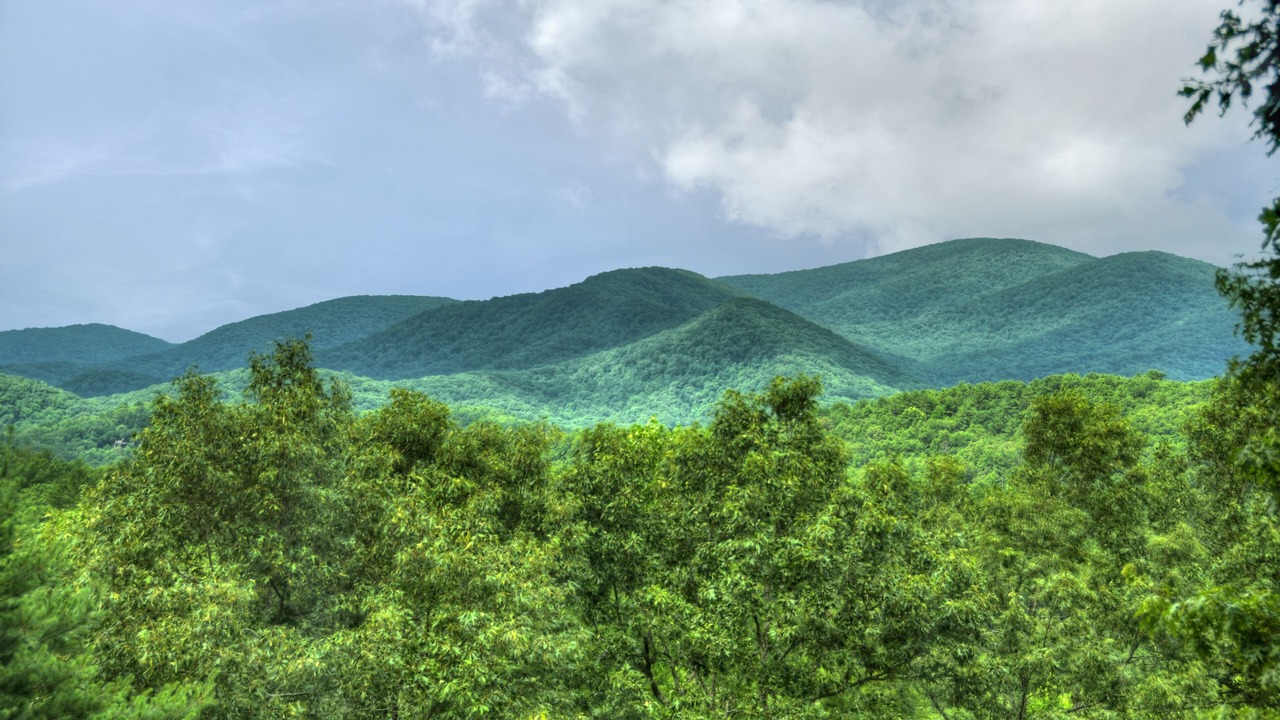 Photo of Others in Blue Ridge