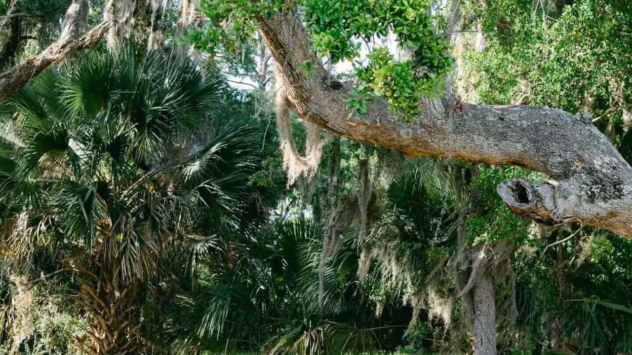 Photo of Outdoor in Meridian