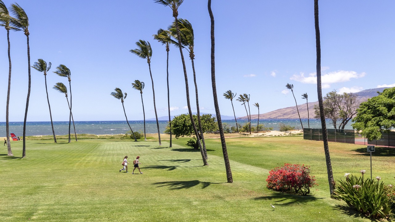 Photo of Outdoor in Kihei