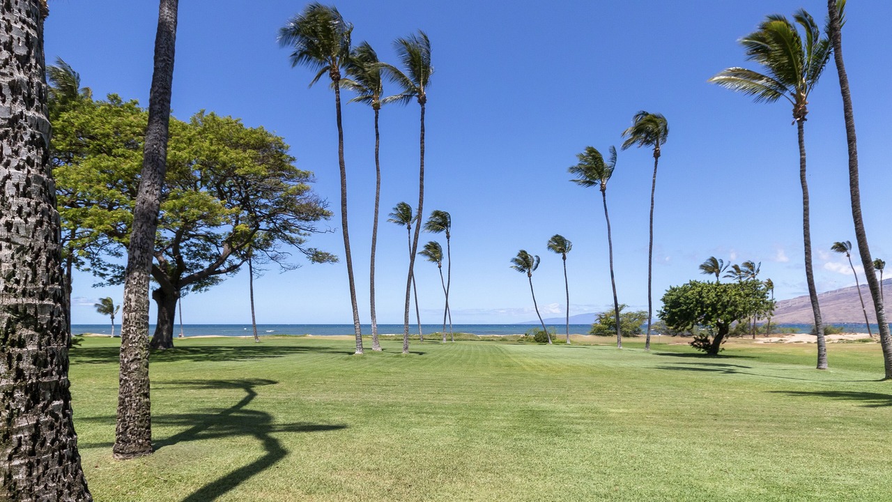 Photo of Others in Kihei