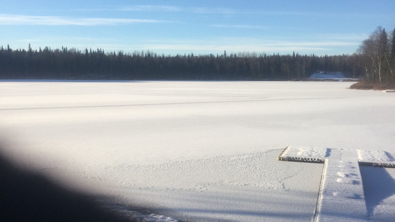 Photo of Others in Talkeetna