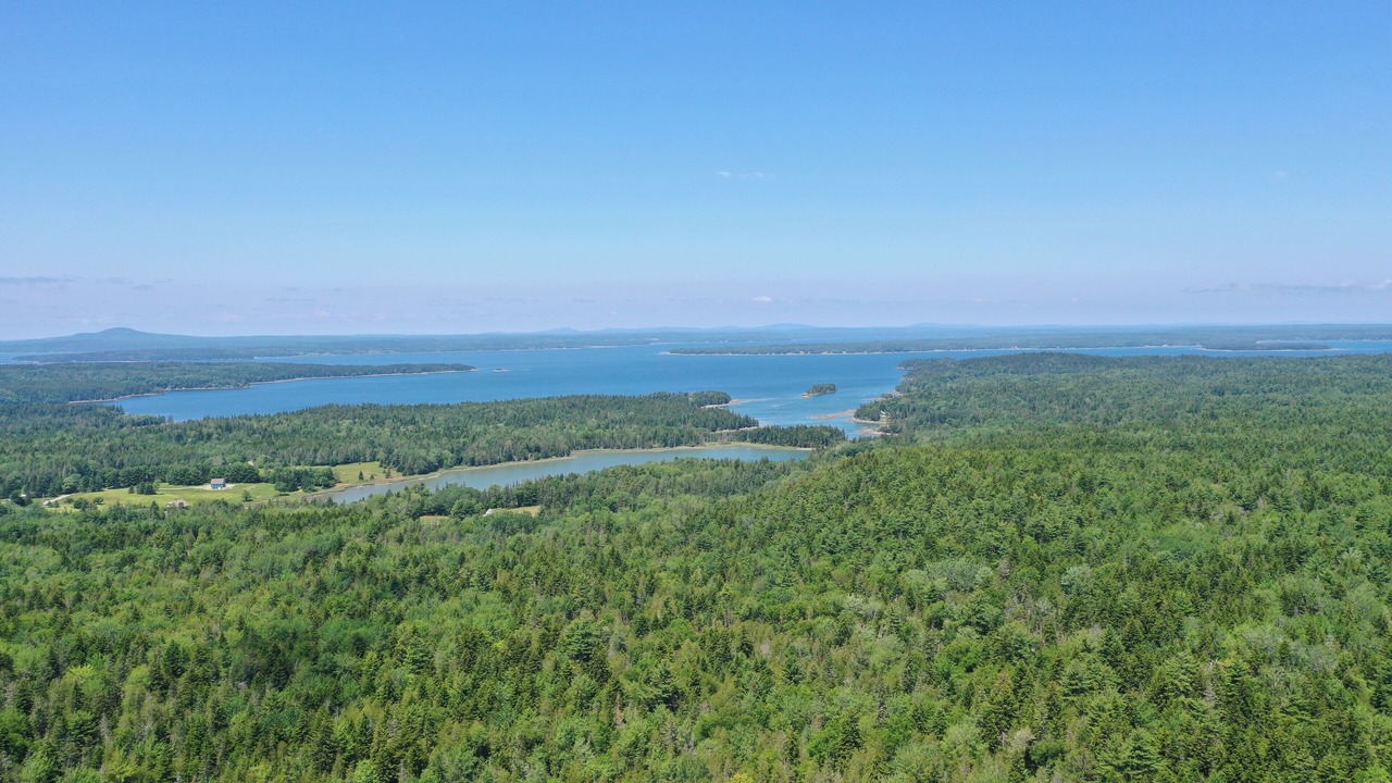 Photo of Others in Mount Desert