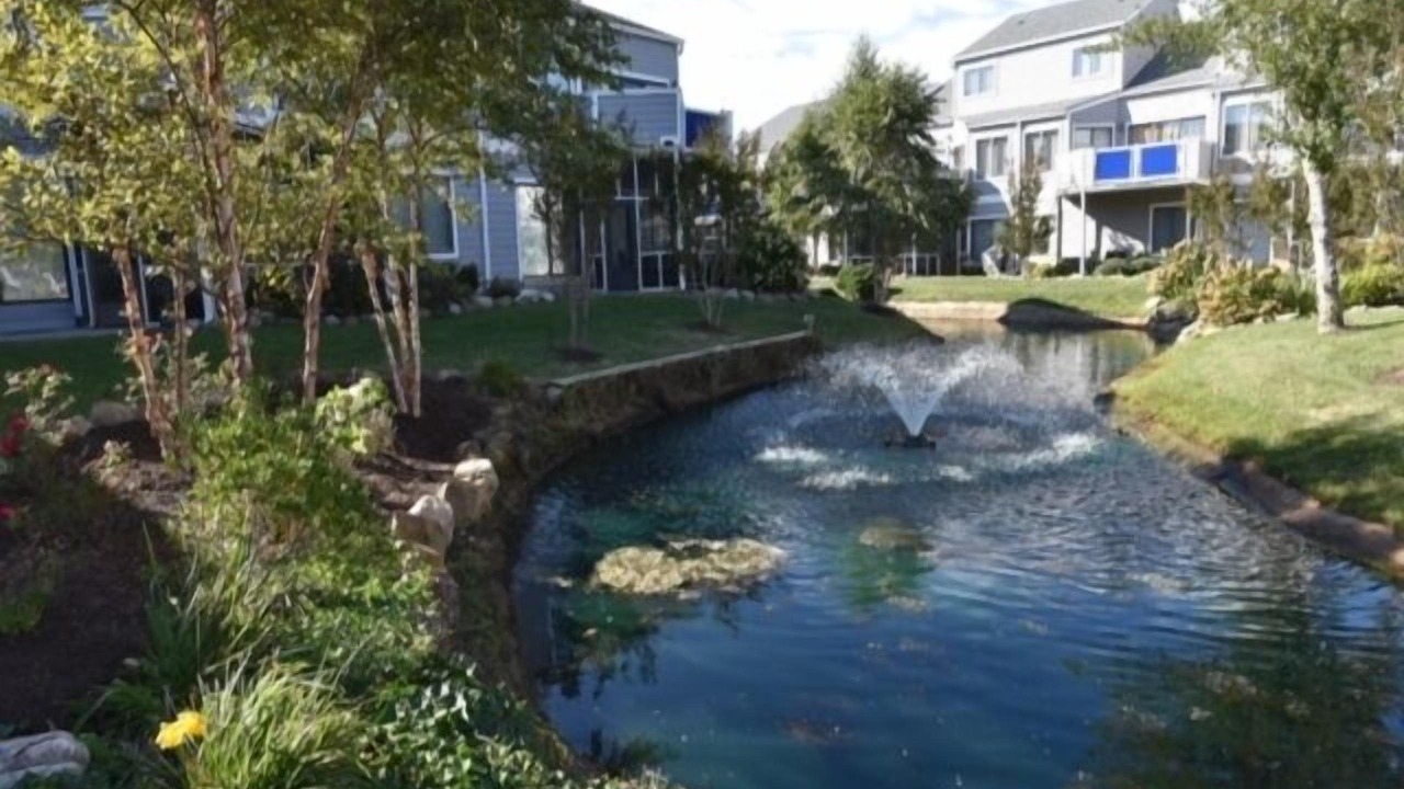 Photo of Outdoor in Fenwick Island
