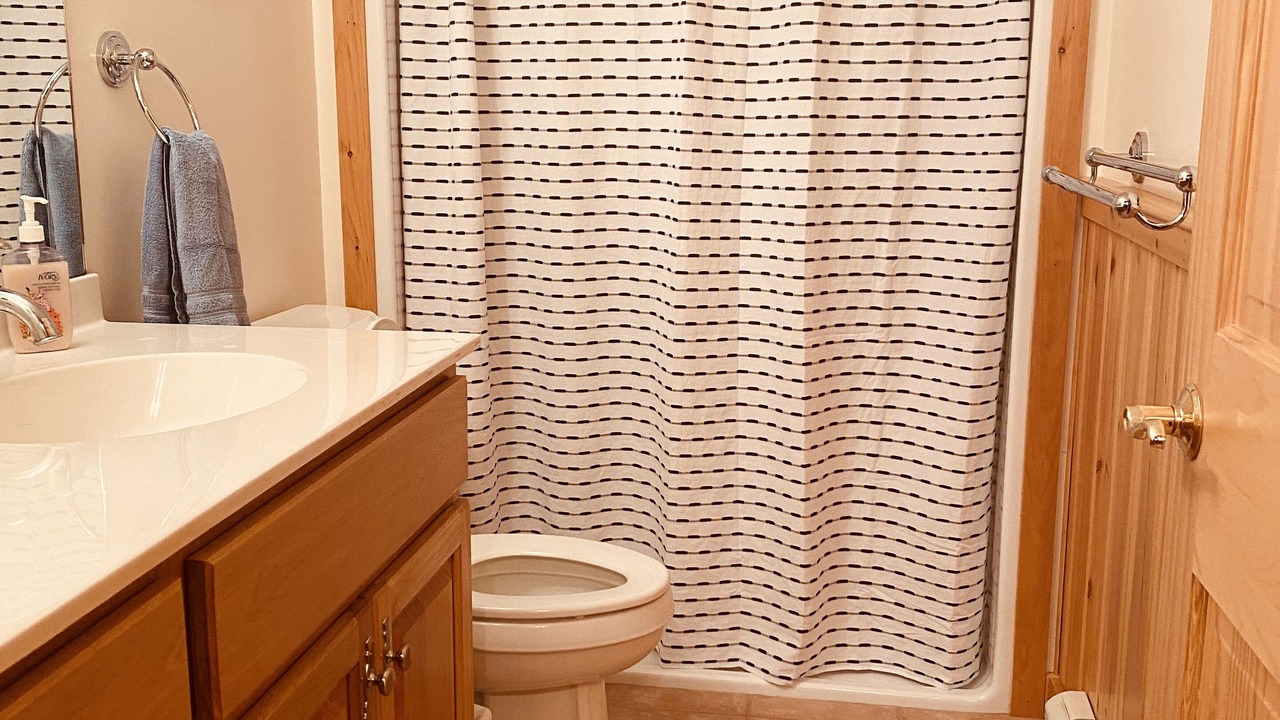 Photo of Bathroom in Bartlett