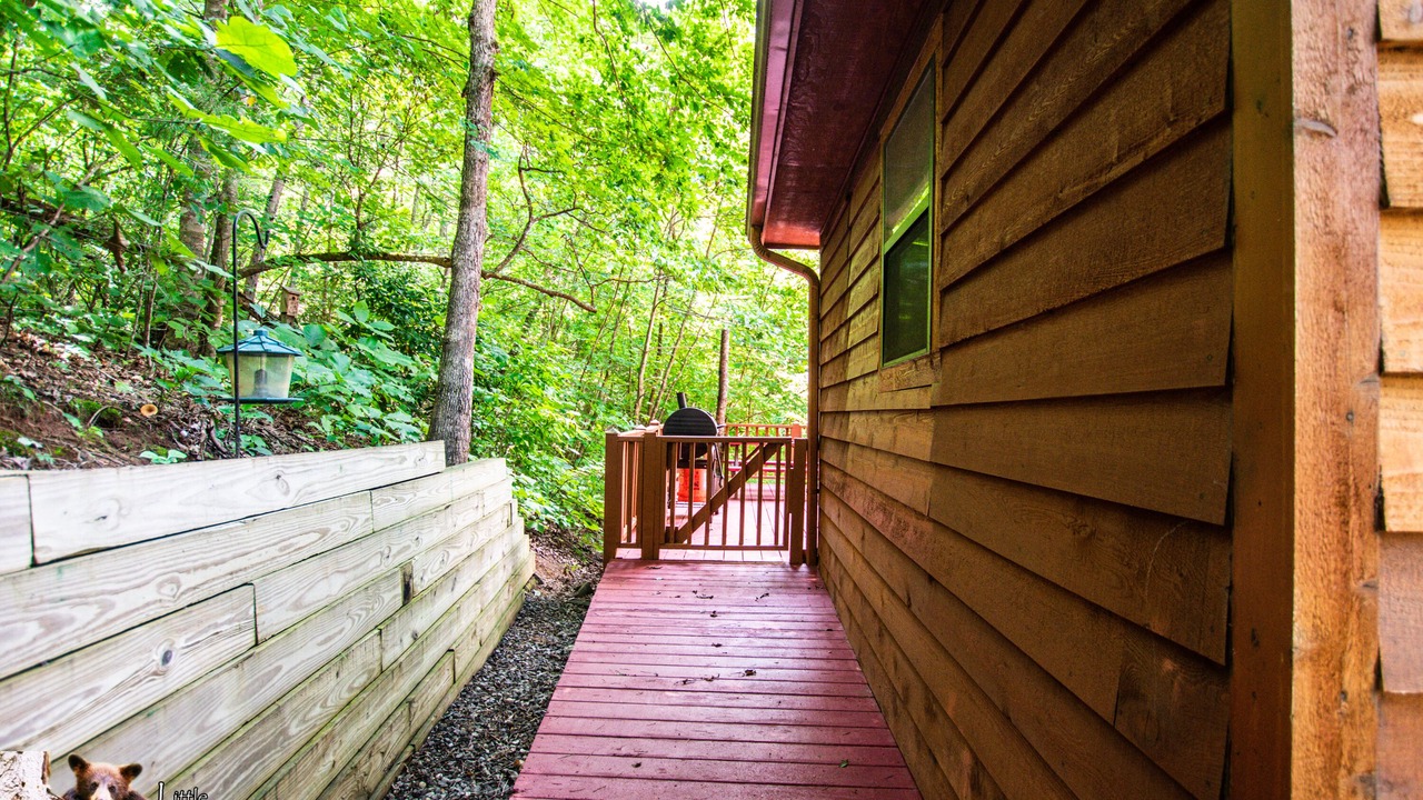 Photo of Patio Balcony in Young Harris