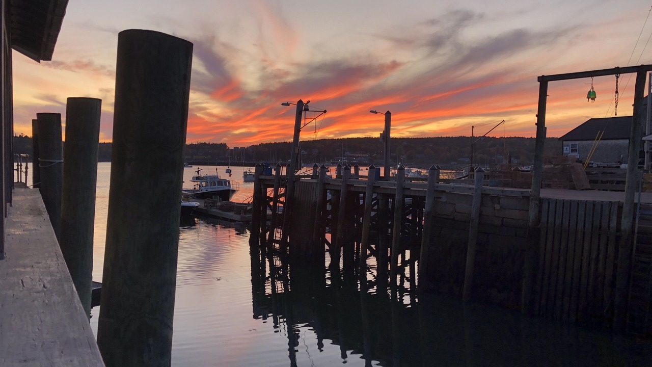 Photo of Others in Southwest Harbor