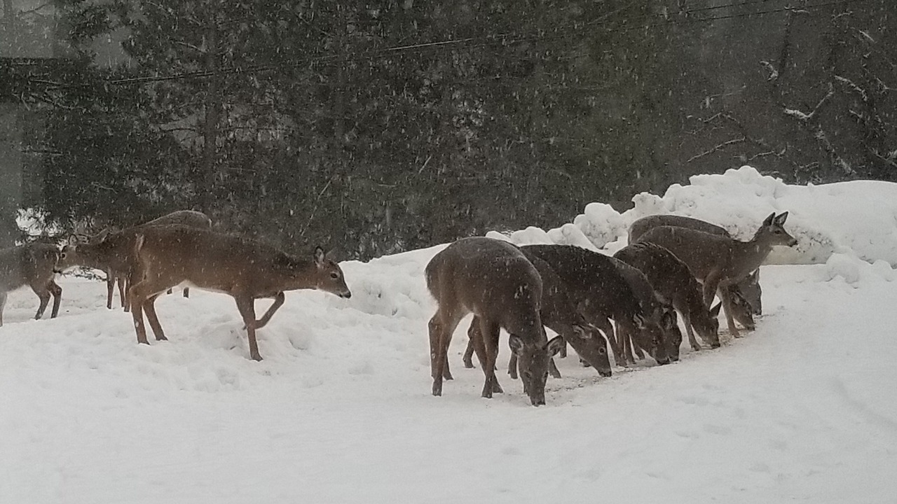 Photo of Others in Franklin County