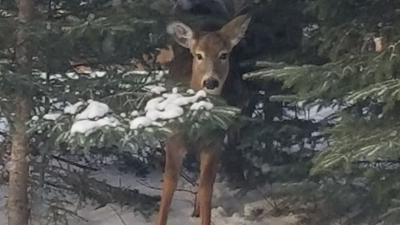 Photo of Outdoor in Franklin County